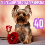 Glückwünsche zum 40. geburtstag frau bild süßer Hund kostenlos