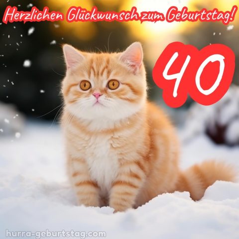 Bild zum 40 geburtstag frau Katze im Schnee kostenlos
