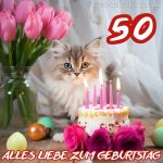 Glückwünsche zum 50. geburtstag frau bild Katze und Kuchen kostenlos