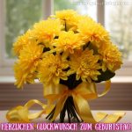 Bild geburtstag blumen Chrysantheme 4 kostenlos