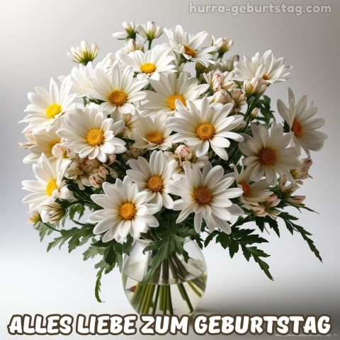 Bild geburtstag blumen Chrysantheme 7 kostenlos