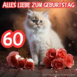 Bild zum 60 geburtstag frau süße Katze kostenlos