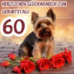 Glückwünsche zum 60. geburtstag frau bild Hund kostenlos