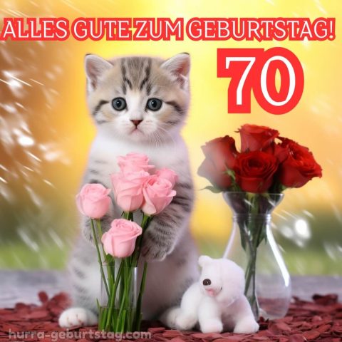 Glückwünsche zum 70. geburtstag frau bild Kätzchen kostenlos