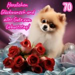 Glückwünsche zum 70. geburtstag frau bild Hund und Rosen kostenlos