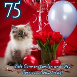 Bild 75. geburtstag mann Kätzchen und Blumen kostenlos